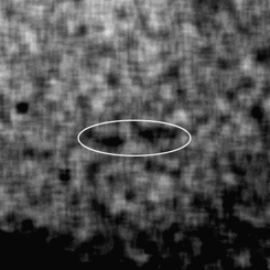 Fig 30. IRO Image of Small Comet?